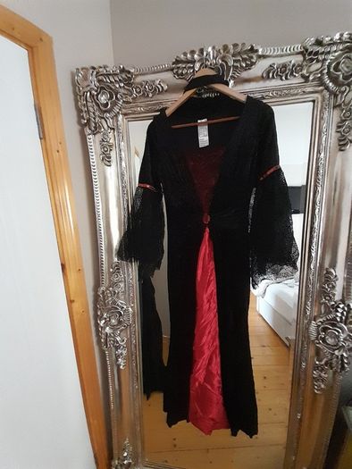 Ladies Halloween costume