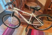Apollo Bike Jewel