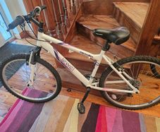 Apollo Bike Jewel