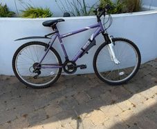 Ladies 20" Apollo Bike