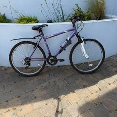 Ladies 20" Apollo Bike