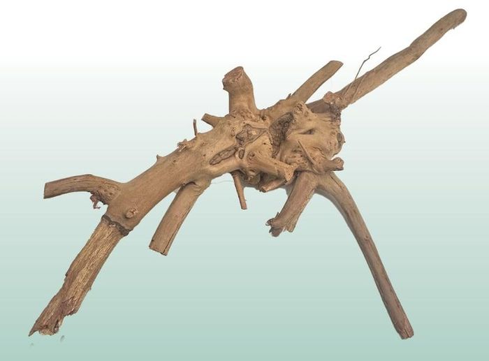 Red Moor Wood/Azalea Wood