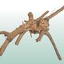 Red Moor Wood/Azalea Wood Image 5