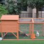 Wheeled Chicken Wagon 8-10 Hens - Free delivery Image 7