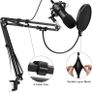 Microphone Stand, Professional Adjustable Mic Stand with Screw Adapter and Pop Filter Suitable for Radio and Television Stations, Recording Studios, Compatible with Blue Yeti Microphone Image 2