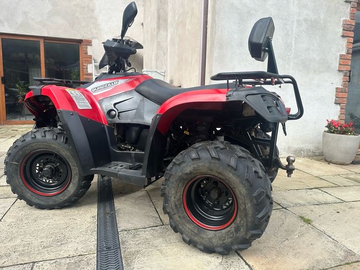 Quadzilla Linhai 309