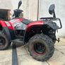 Quadzilla Linhai 309 Image 4