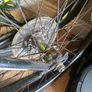 Ignite Attacks bike 26" Image 6