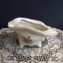 Vintage Kitsch Ceramic Shell Planter in Excellent Condition Image 2