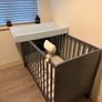 Baby Elegance Elle Cot Image 5