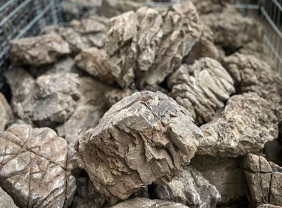 Elderly Stones Aquascaping