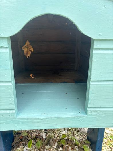 dog box