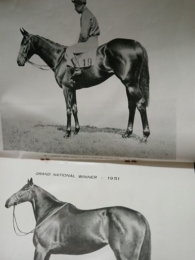 The Irish Tatler & Sketch August 1951