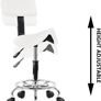 Rolling Stools with Back Support Facial Salon Kitchen Chair (White Image 2