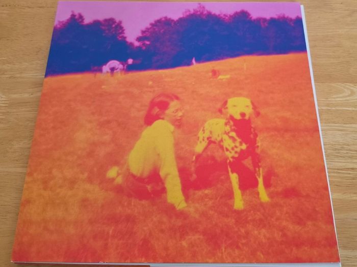 Eels - Blinking Lights and other revelations