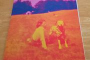 Eels - Blinking Lights and other revelations