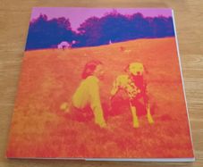 Eels - Blinking Lights and other revelations