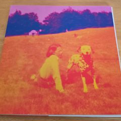 Eels - Blinking Lights and other revelations