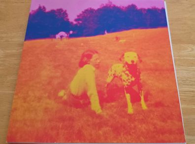 Eels - Blinking Lights and other revelations
