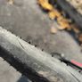 merida scultura with mavic krysium sls Image 10