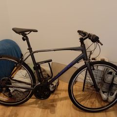 Giant Bicycle