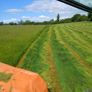 Hay Bale's Image 3
