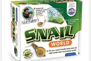 Snail World Educational Toy