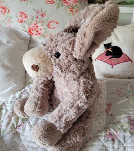 Gorgeous donkey teddy