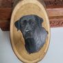 Dog painting labrador Image 2