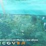 Windbreaker Netting 2m x 20m (6'6'' x  65'6'') Image 5