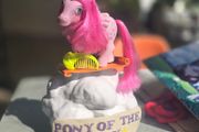 Heartthrob with Comb Pegasus Ponies Original Heart Throb MLP G1 My Little Pony 1984