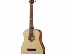 Cort Earth Mini