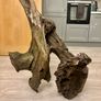 2xl Pre soaked Driftwood approximately about 20-25kg Image 2