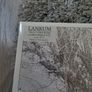Lankum 2 double vinyl see description Image 2