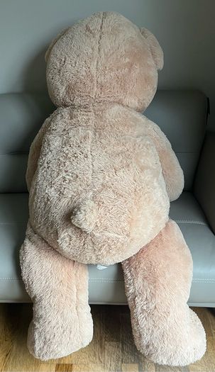 teddy
