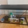 As New Large fish tank Image 4