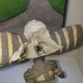 Neca Headknocker Bobblehead Lots to choose from. Image 10