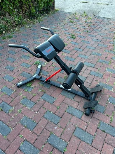 Hyperextension Roman Chair with Dip Station