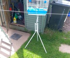 bird cage and stand