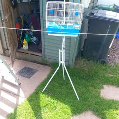 bird cage and stand
