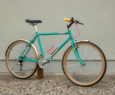 Vintage Raleigh Ascender Mountain Bike