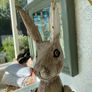 Rustic Wooden Hare Image 4