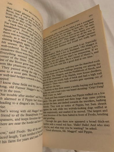 (1990's) Paperback Lord of the rings trilogy & the hobbit book lot
