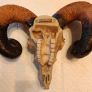 Ram skull head wall decoration Image 3