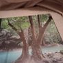 Book on Rainforests Image 5