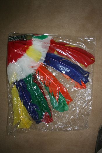 Indian Head Costume - Multicoloured