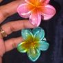 New Hair clips Image 2