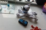Robodog