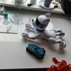 Robodog