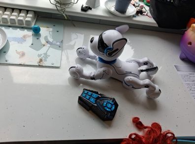 Robodog
